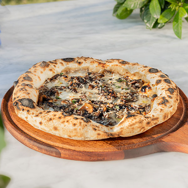 TRUFFLE & MUSHROOM