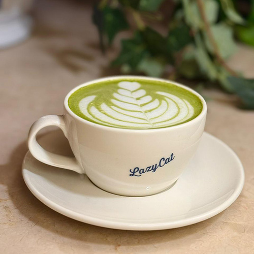 Hot Matcha Latte