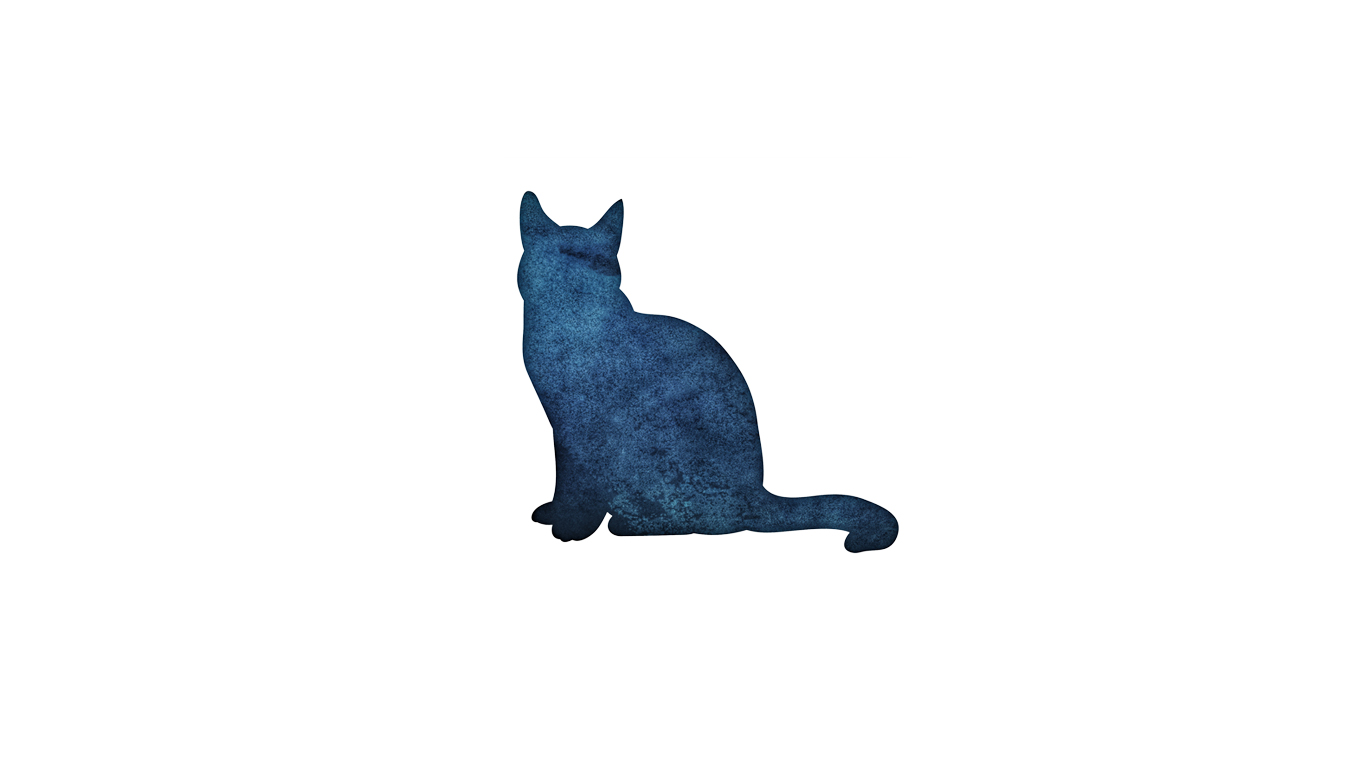 Lazy Cat